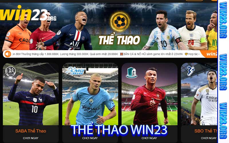 thể thao win23